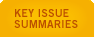 KEY ISSUE SUMMARIES